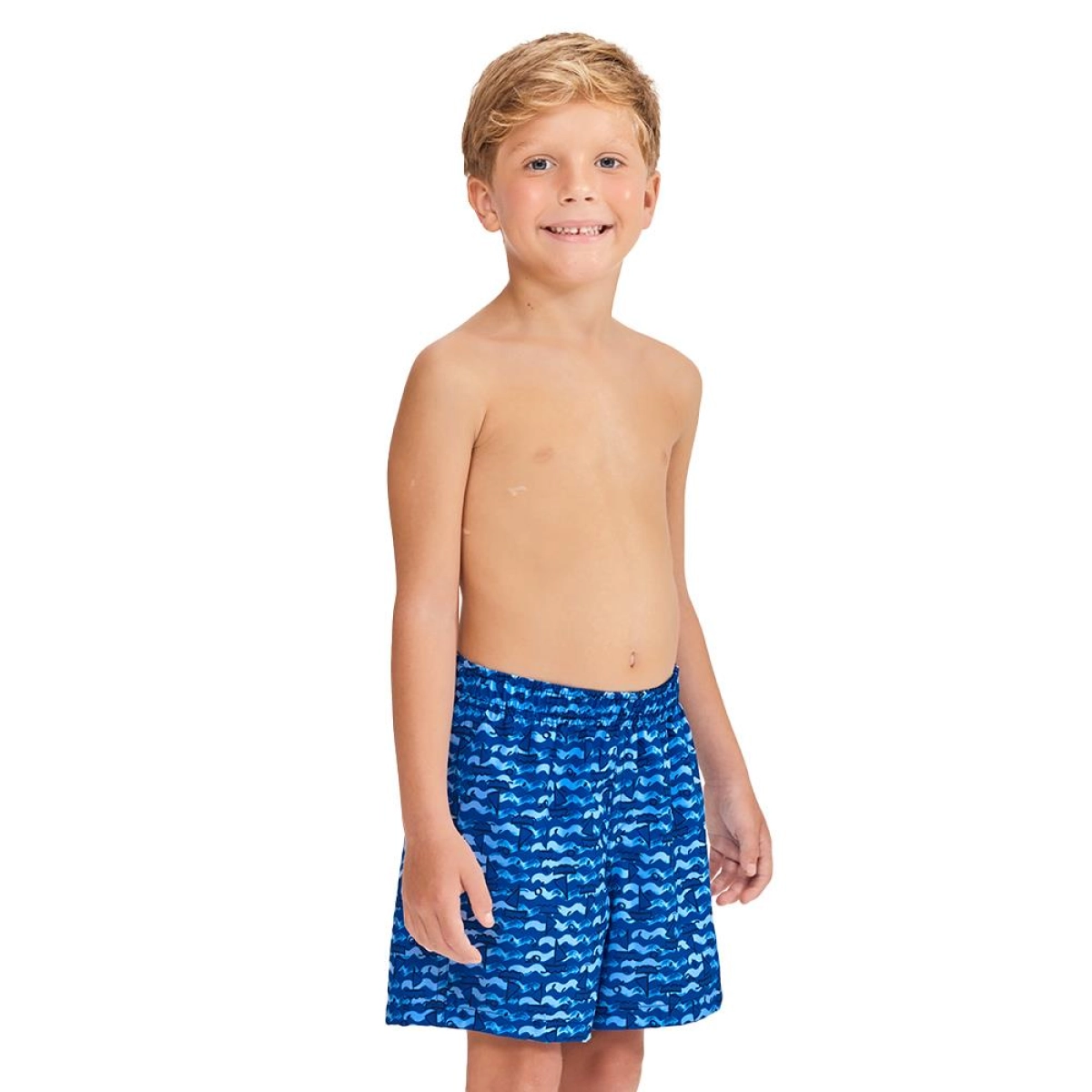 https://ftp3.mormaii.com.br/83812_AZUL_2.jpg