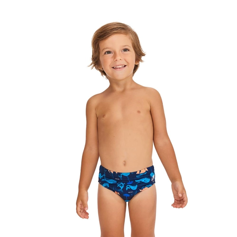 https://ftp3.mormaii.com.br/83138_AZUL_1.jpg